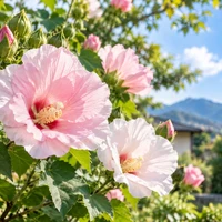 画像334