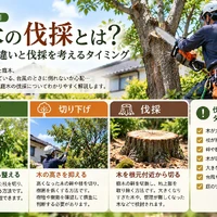 画像356