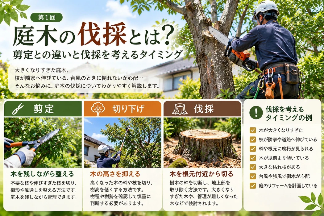 画像356