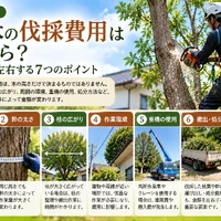 画像360