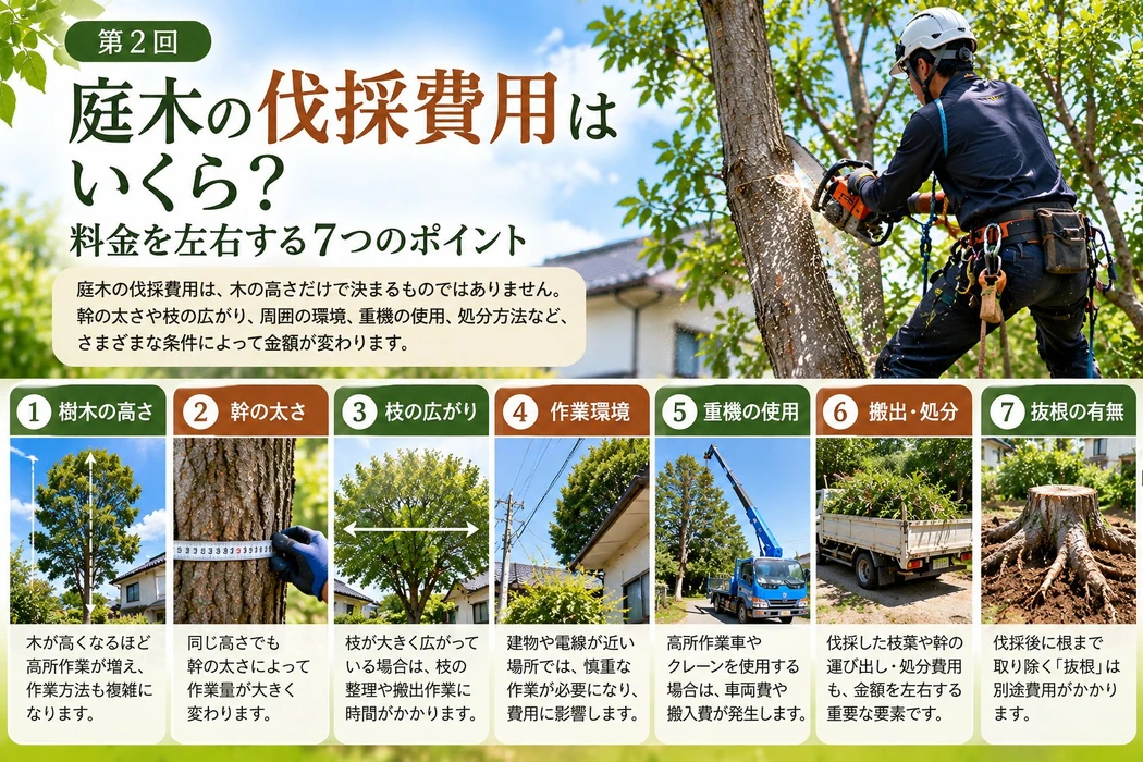 画像360