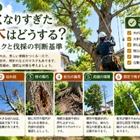 画像364