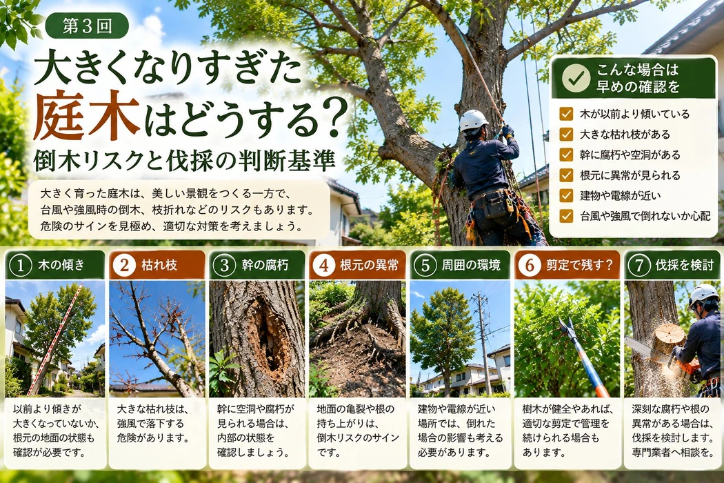 画像364