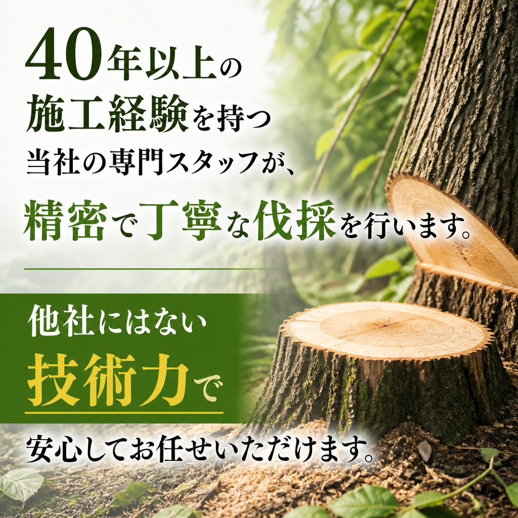 3. 豊富な経験を生かした施工技術